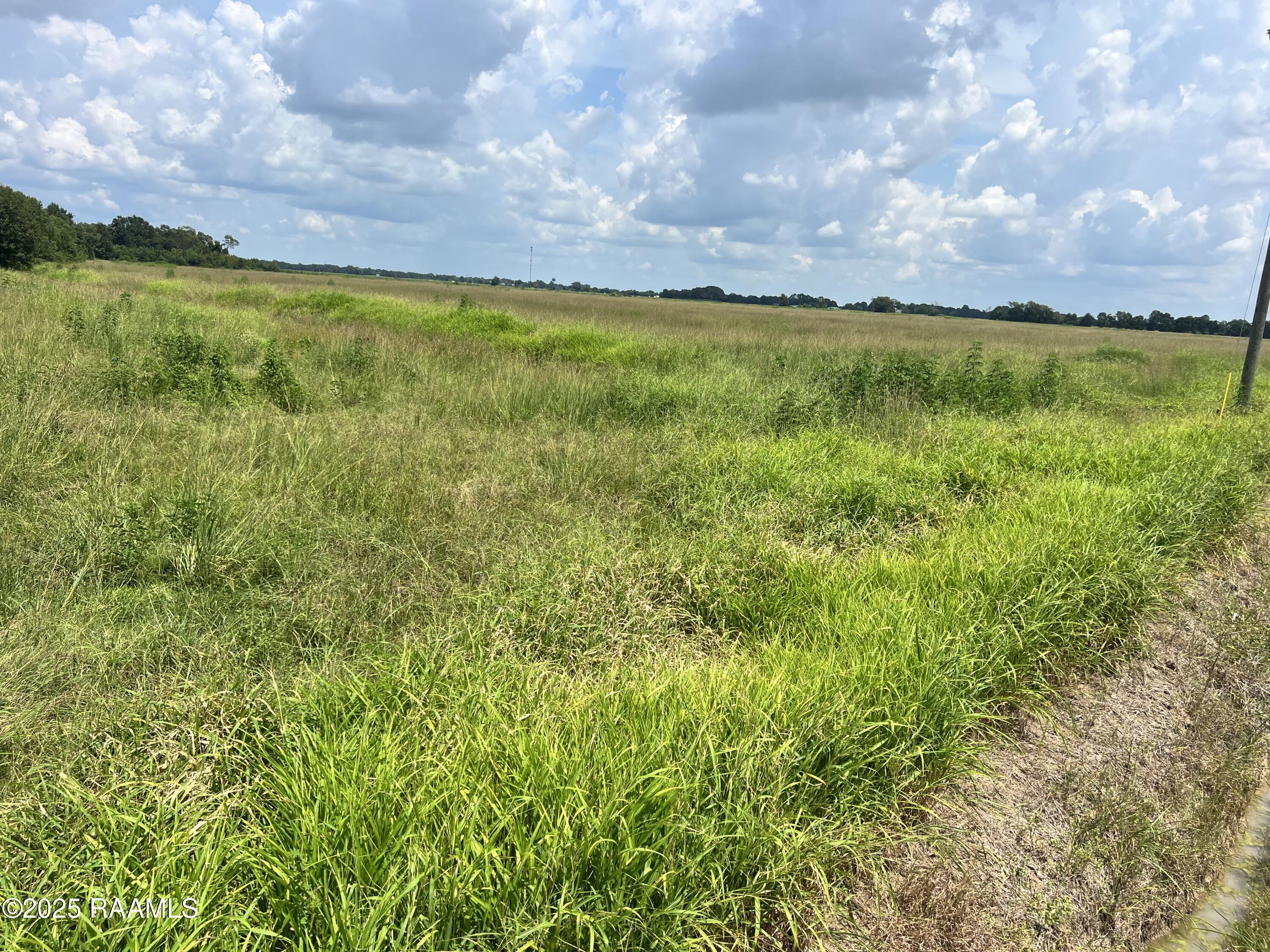 400-blk 400-blk Andrew Church Point Church Point, LA 70525 - Photo 3 of 7 IMG_5131