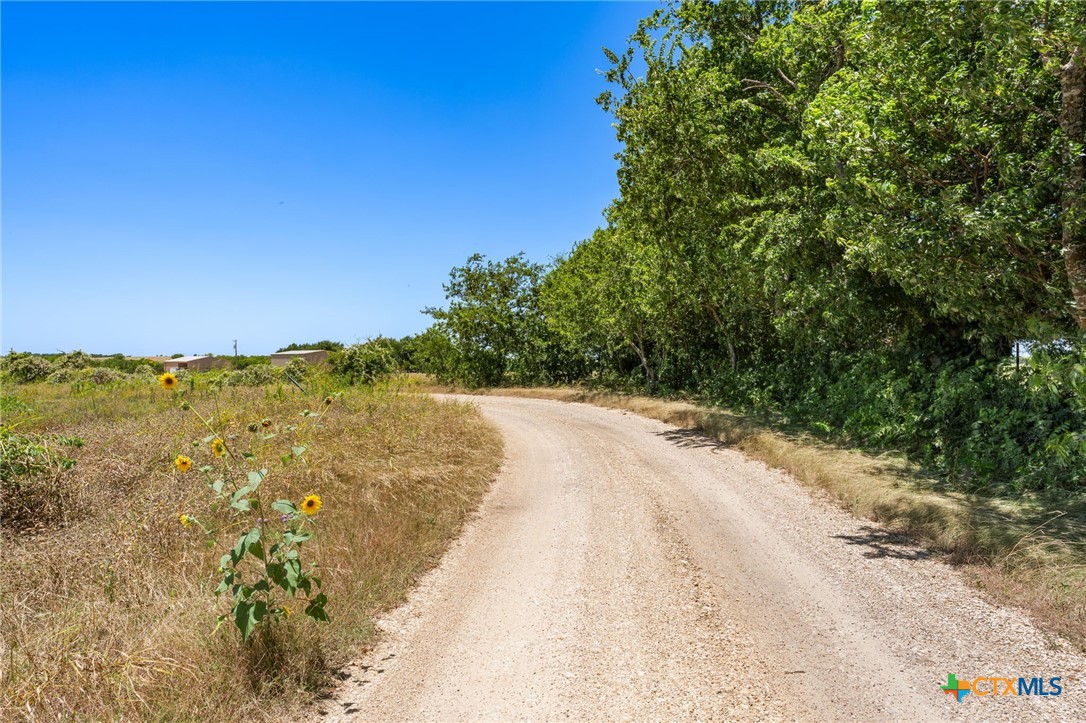 2124 Hackberry Road Salado, TX 76571 - Photo 40 of 41 Entry Road