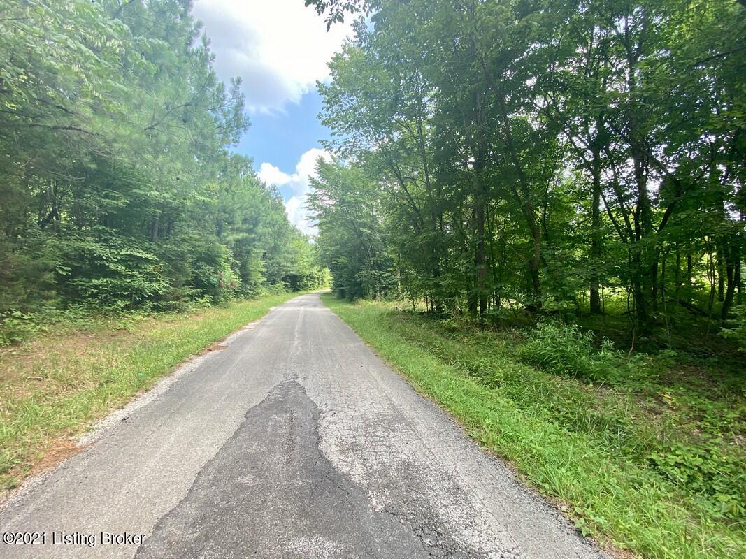 1270 Duvall Road Caneyville, KY 42721 - Photo 49 of 61 Road Frontage