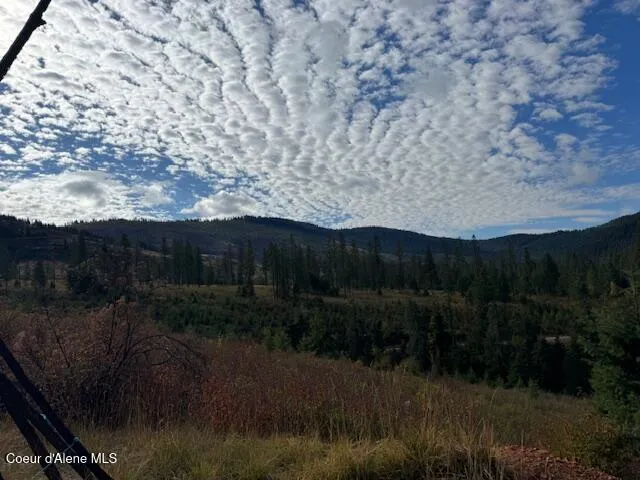 $370,500 | 40 Acres Dole Camp Road, Desmet, ID 83824