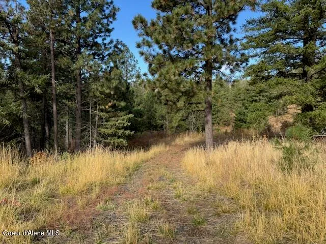 $370,500 | 40 Acres Dole Camp Road, Desmet, ID 83824