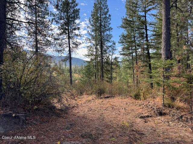 40 Acres Dole Camp Road Desmet, ID 83824 - Photo 15 of 31 IMG_9027