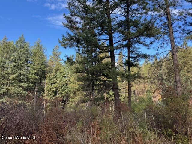 40 Acres Dole Camp Road Desmet, ID 83824 - Photo 17 of 31 IMG_9029