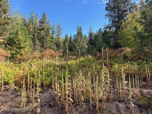40 Acres Dole Camp Road Desmet, ID 83824 - Photo 20 of 31 IMG_9032