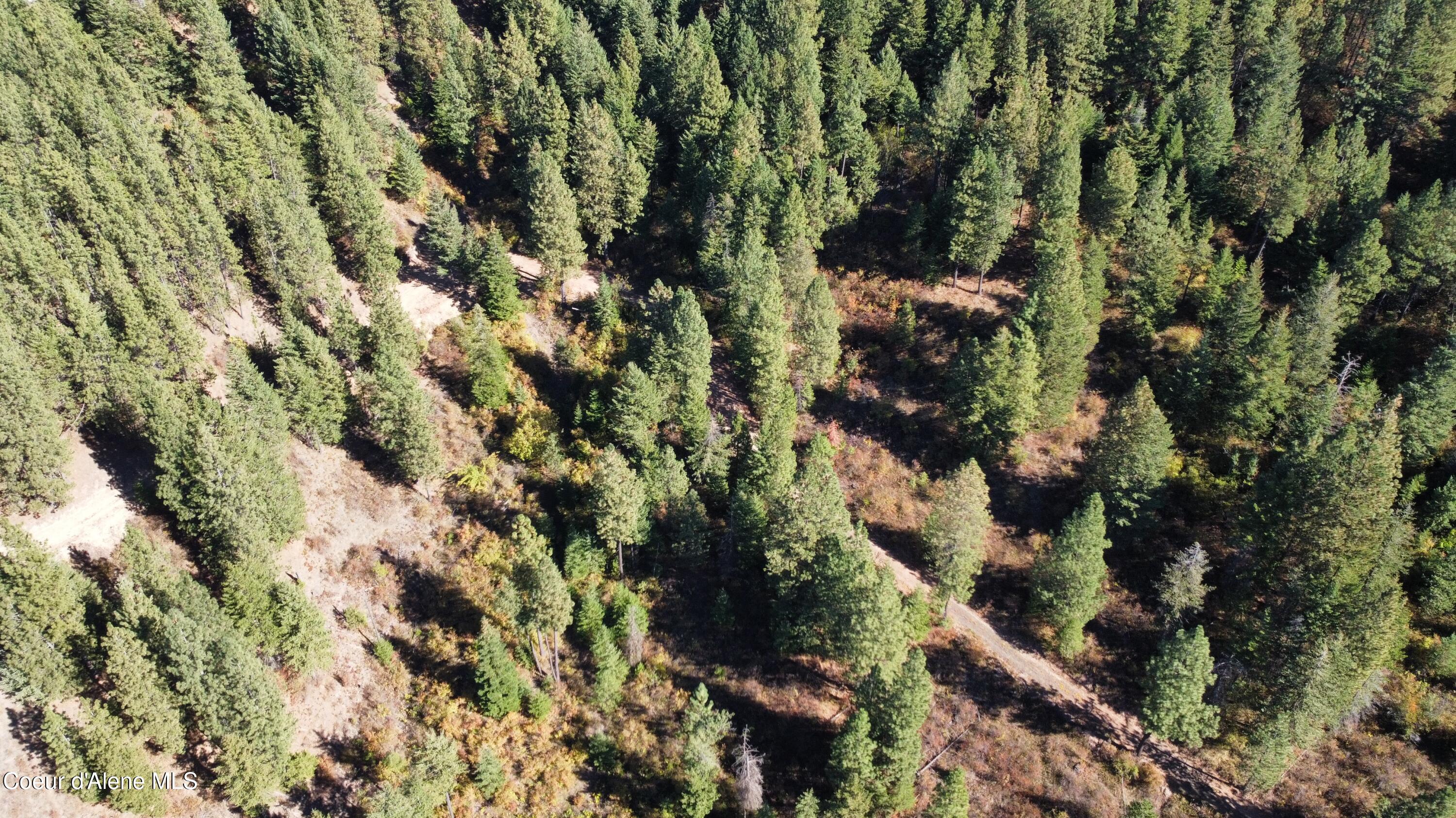 40 Acres Dole Camp Road Desmet, ID 83824 - Photo 24 of 31 dji_fly_20251006_124400_912_175978002009