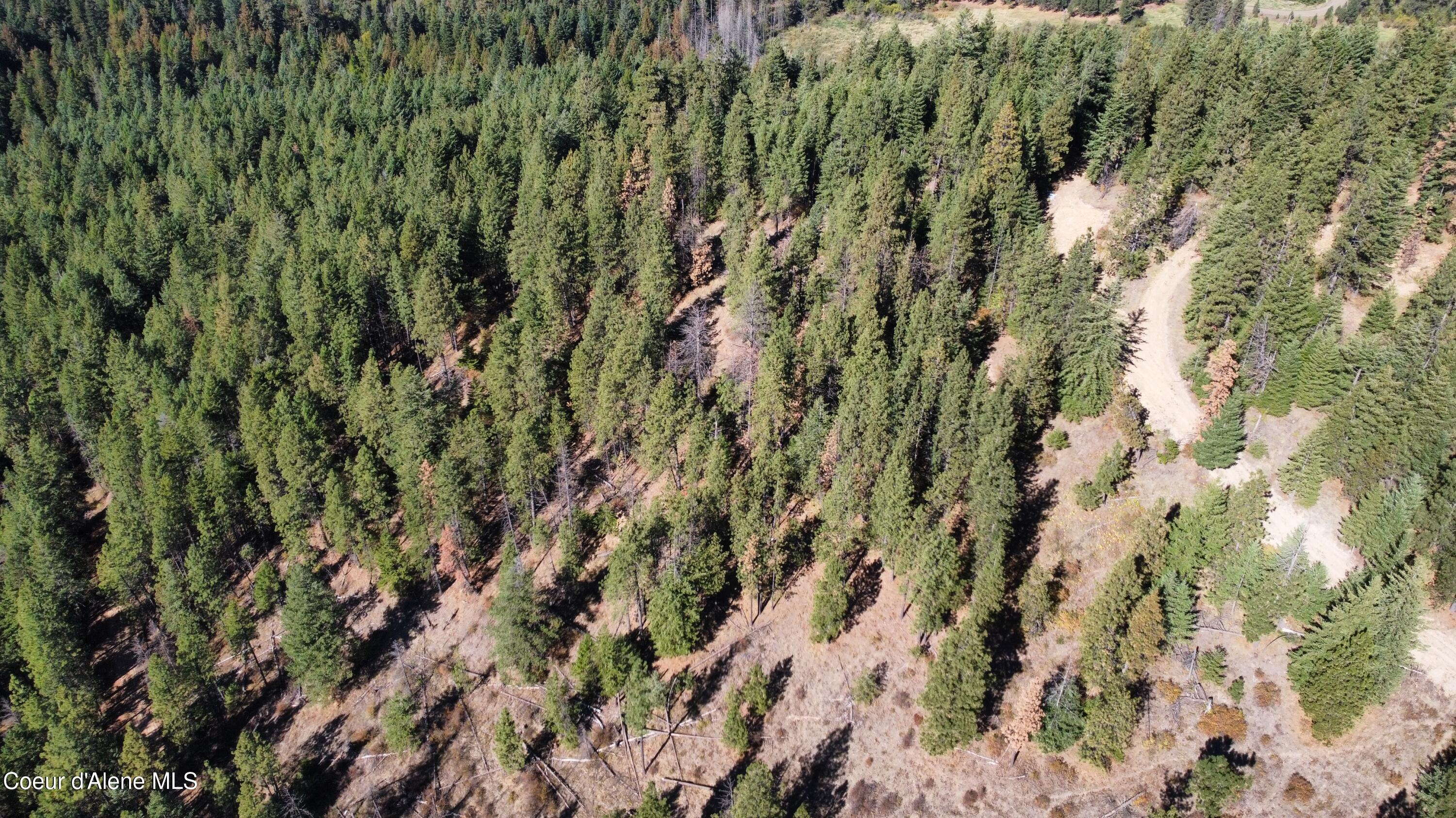 40 Acres Dole Camp Road Desmet, ID 83824 - Photo 25 of 31 dji_fly_20251006_124418_913_175978001925