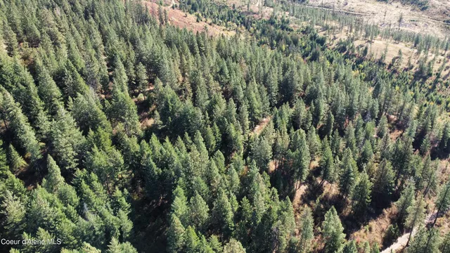 $370,500 | 40 Acres Dole Camp Road, Desmet, ID 83824