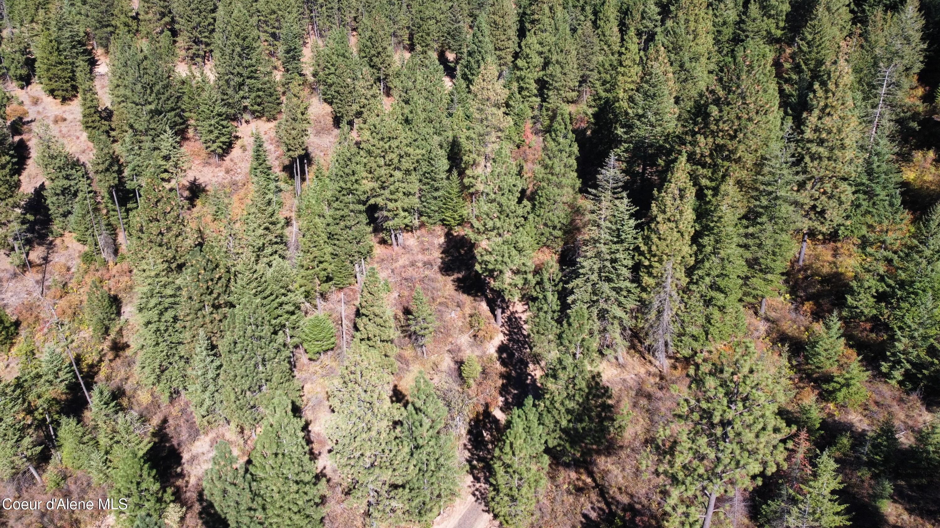 40 Acres Dole Camp Road Desmet, ID 83824 - Photo 28 of 31 dji_fly_20251006_124626_916_175978001603