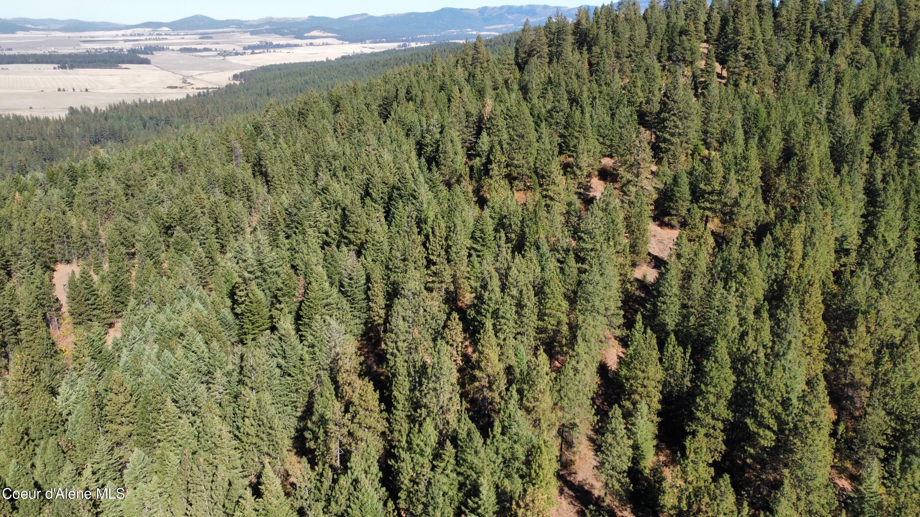 40 Acres Dole Camp Road Desmet, ID 83824 - Photo 29 of 31 dji_fly_20251006_124918_918_175978040811