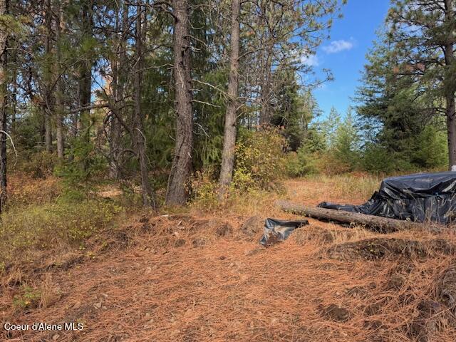 40 Acres Dole Camp Road Desmet, ID 83824 - Photo 3 of 31 IMG_9015