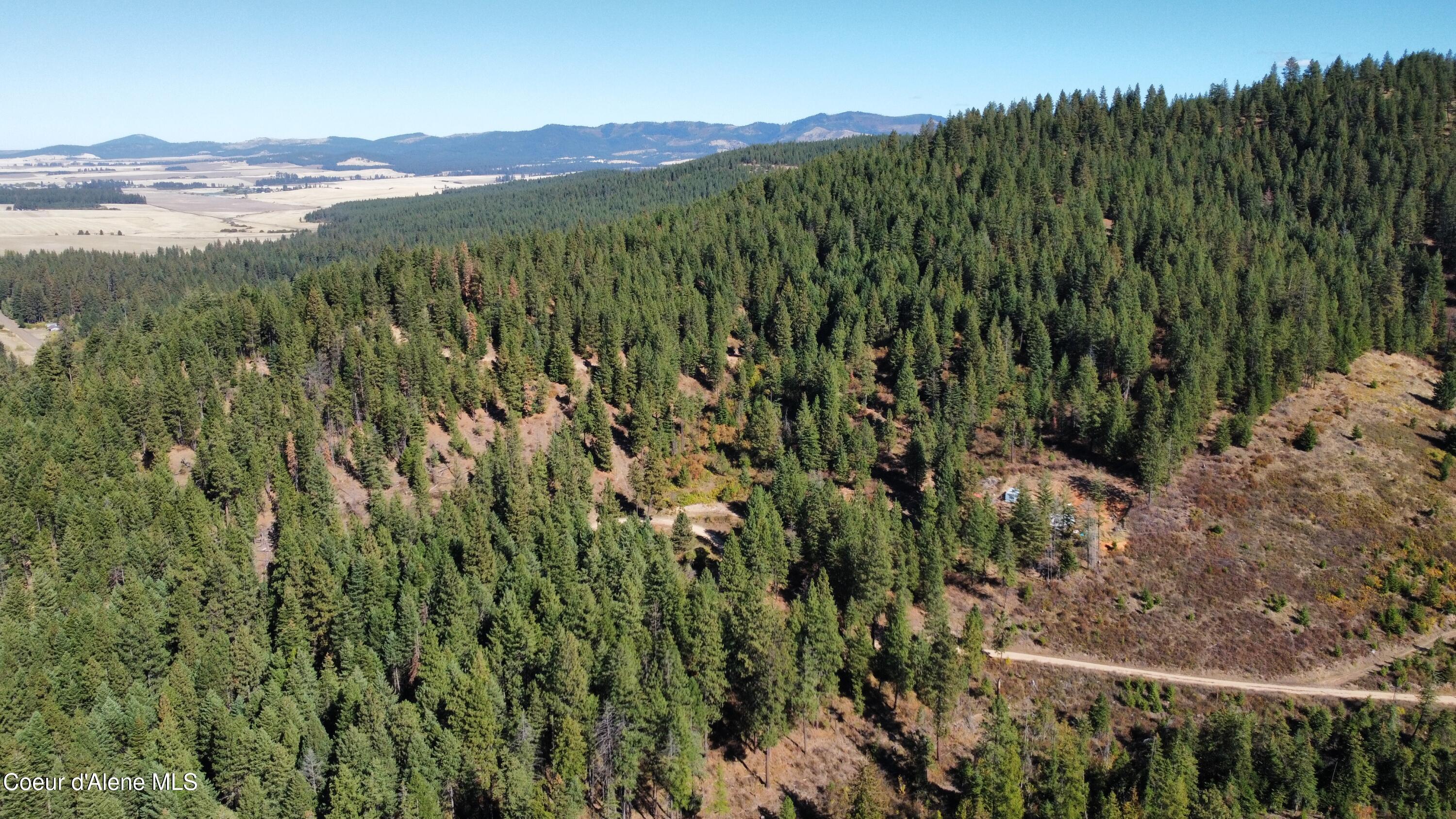 40 Acres Dole Camp Road Desmet, ID 83824 - Photo 31 of 31 dji_fly_20251006_125118_920_175978039559