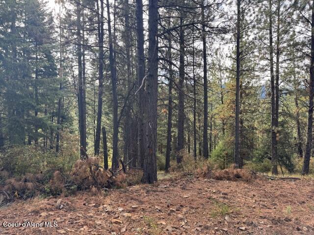 40 Acres Dole Camp Road Desmet, ID 83824 - Photo 4 of 31 IMG_9016