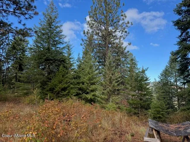 $370,500 | 40 Acres Dole Camp Road, Desmet, ID 83824