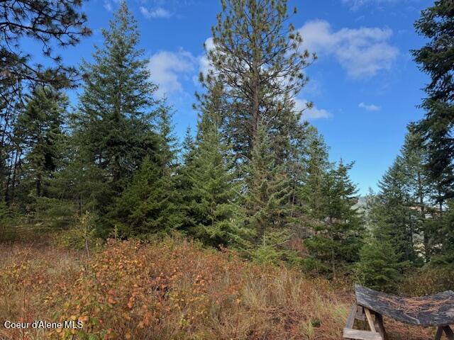 40 Acres Dole Camp Road Desmet, ID 83824 - Photo 6 of 31 IMG_9018