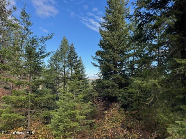 40 Acres Dole Camp Road Desmet, ID 83824 - Photo 7 of 31 IMG_9019