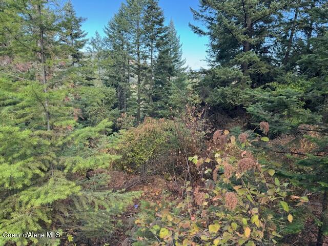 40 Acres Dole Camp Road Desmet, ID 83824 - Photo 8 of 31 IMG_9020