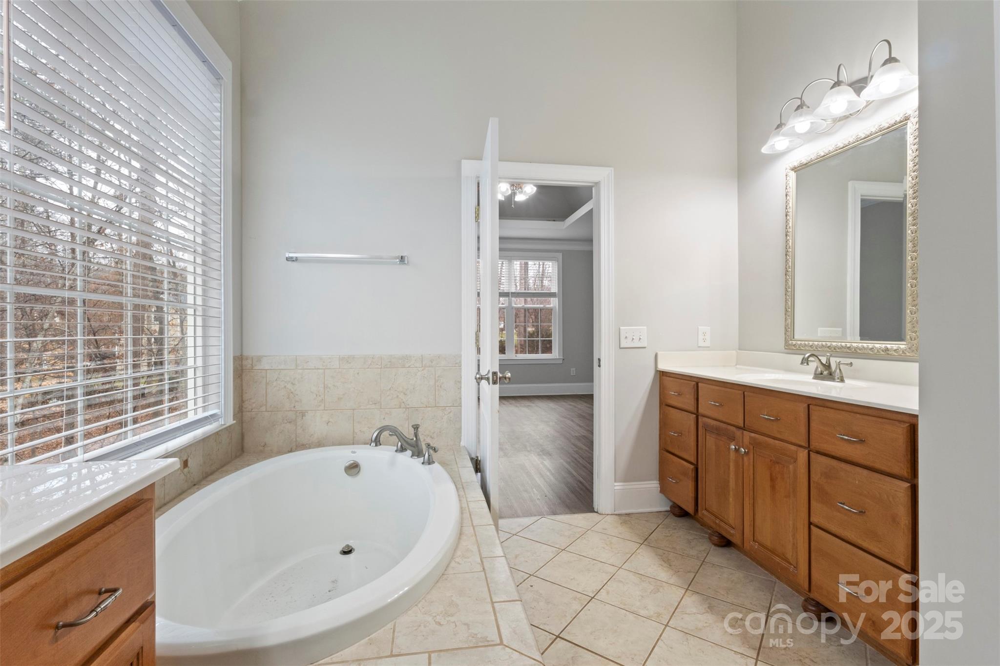 6655 Maple Spring Court Denver, NC 28037 - Photo 18 of 48 a bathroom with a tub sink and mirror