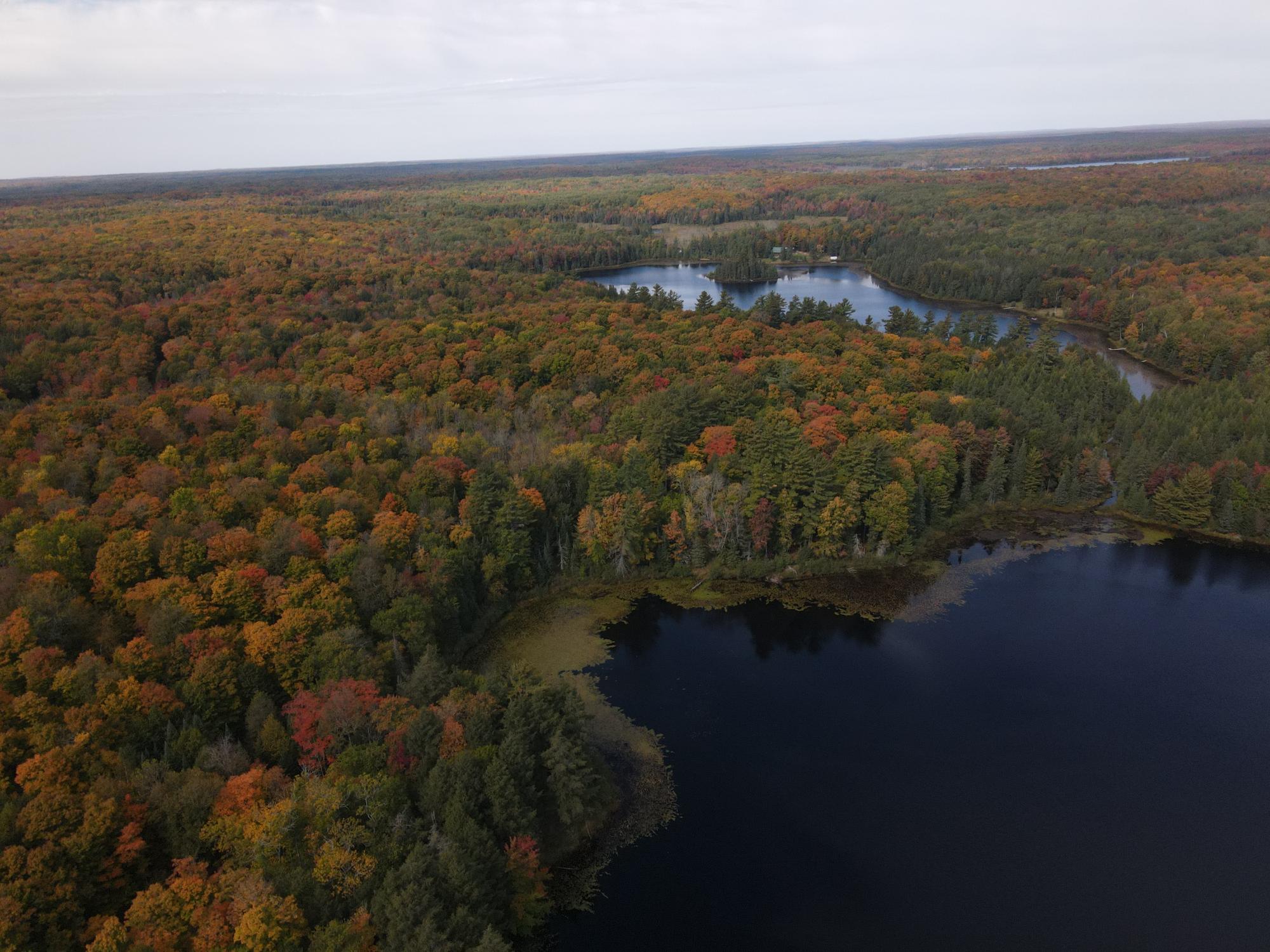 Off Grace Lake Road, Unit LOT 12 Watersmeet, MI 49969 - Photo 1 of 9 Gallery Image 1