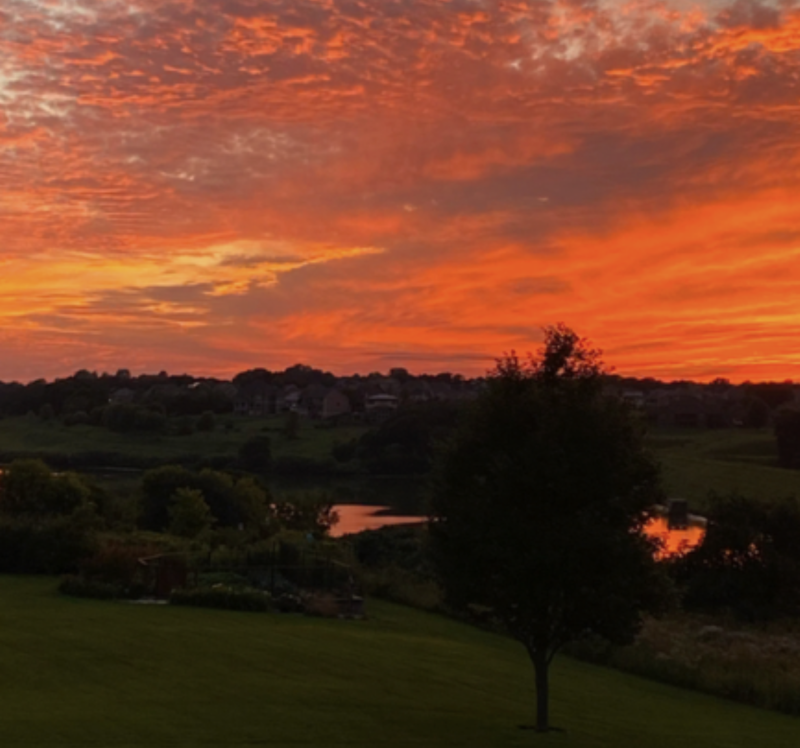 1309 Lone Pine Drive Southwest Rochester, MN 55902 - Photo 46 of 48