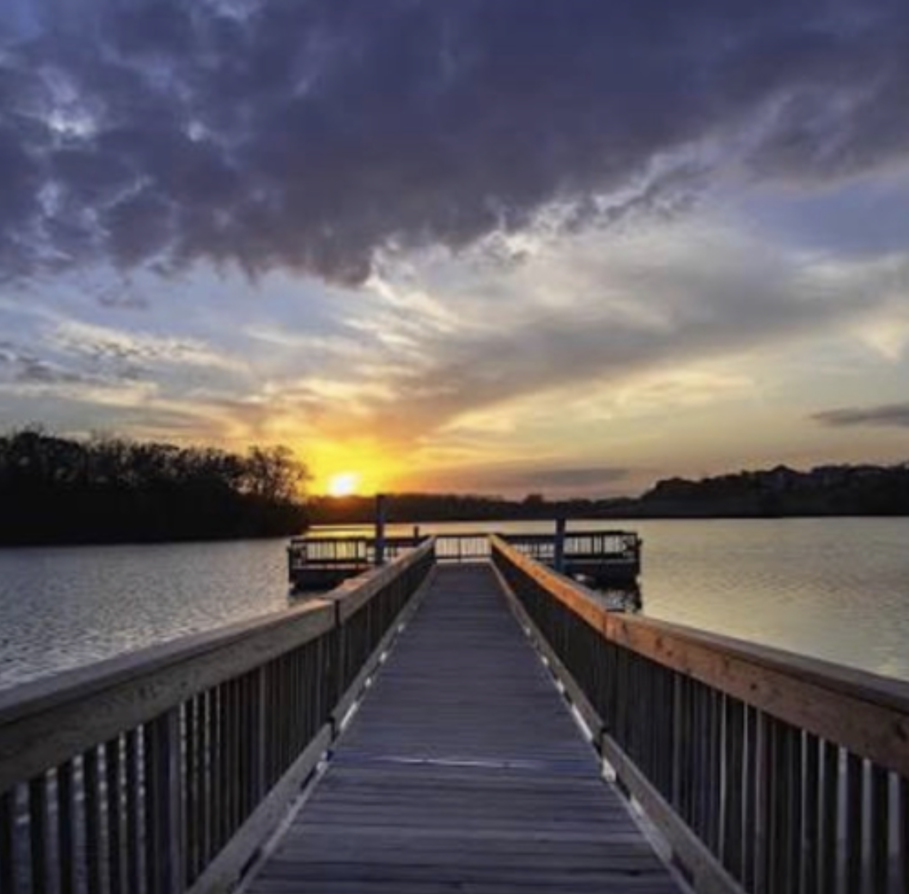 1309 Lone Pine Drive Southwest Rochester, MN 55902 - Photo 47 of 48
