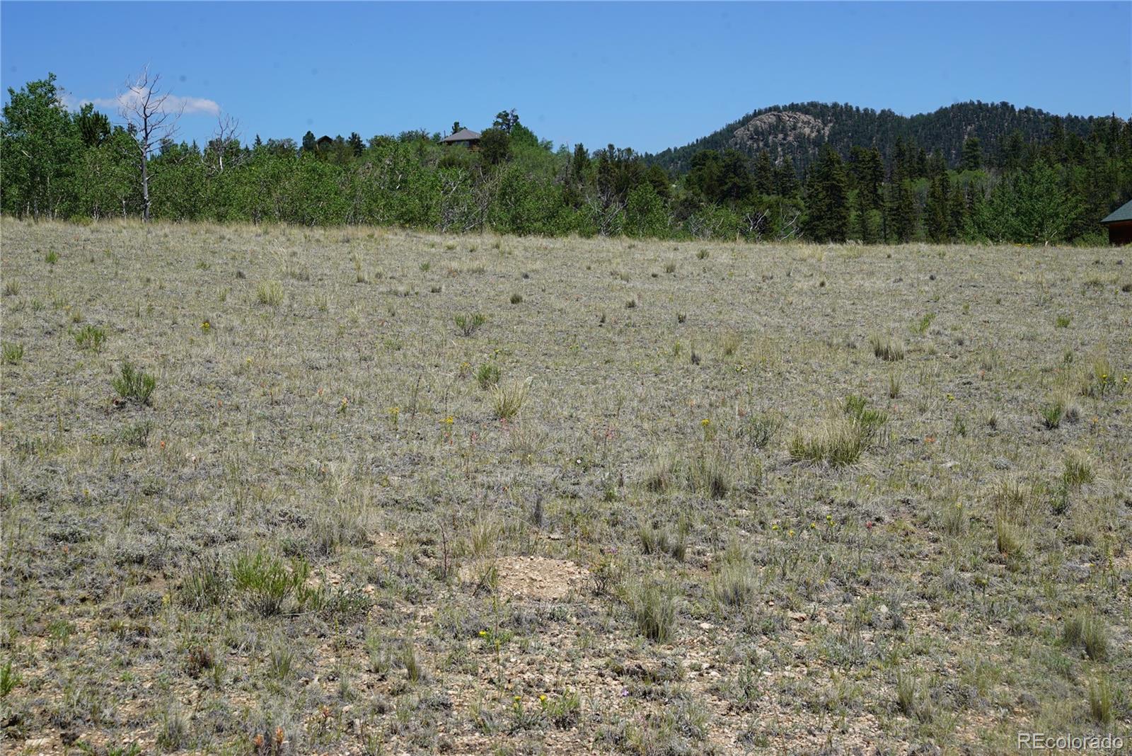 a view of a dry grass field