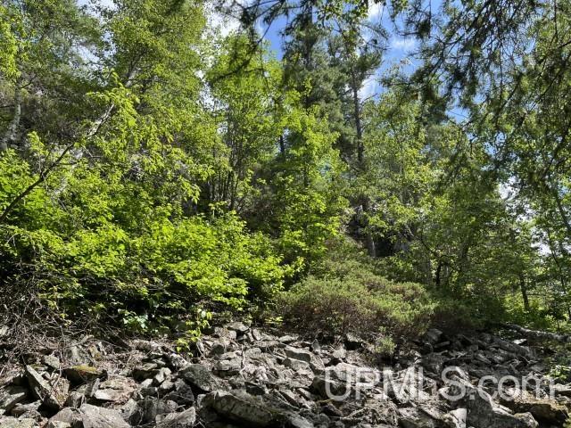 20-acres Willow Creek Road Negaunee, MI 49866 - Photo 12 of 17