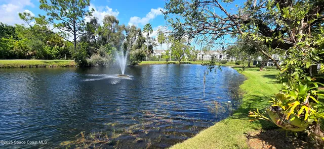 a view of water with large trees