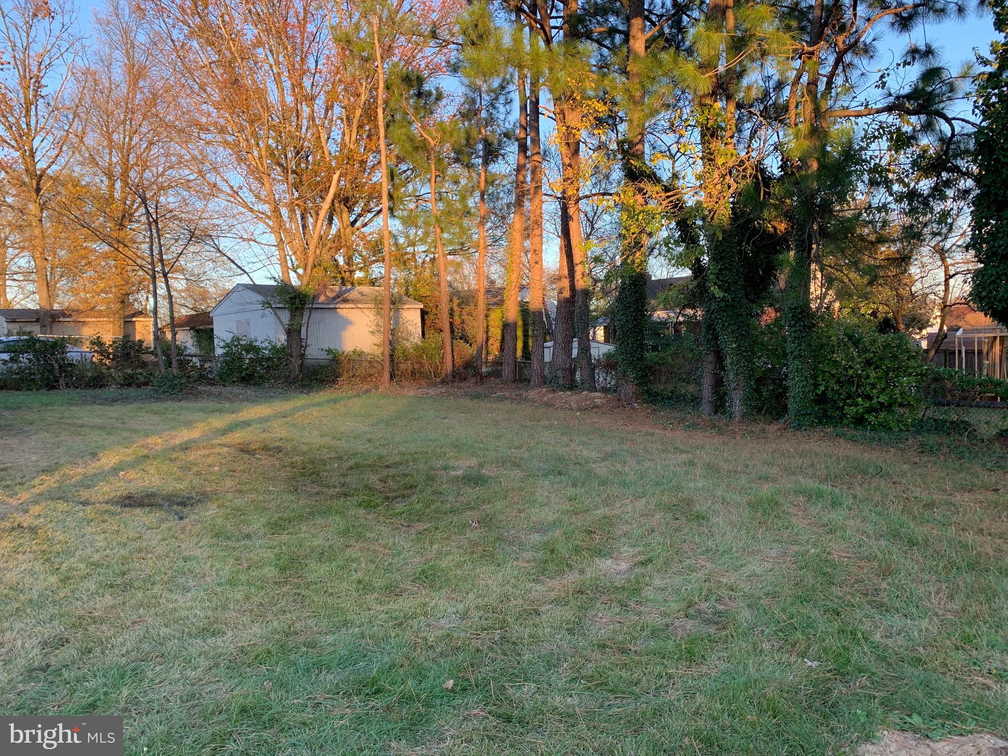 5819 Craig Street Springfield, VA 22150 - Photo 21 of 48 Large Level and Fenced Backyard.