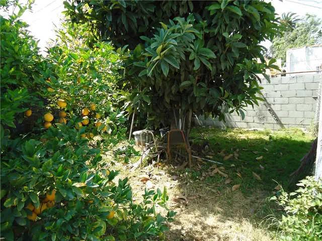 a backyard of a house with lots of green space and garden in back