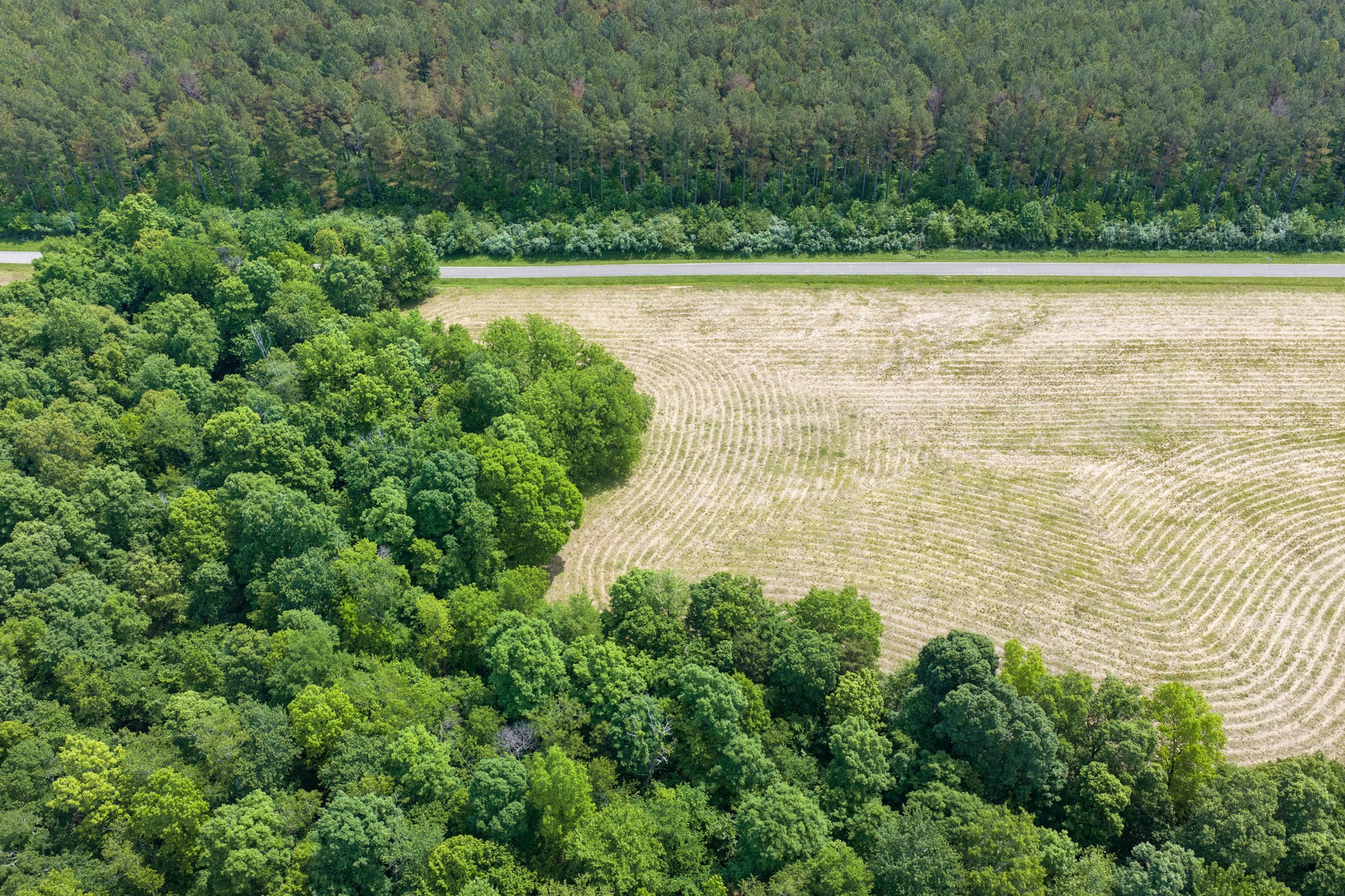 0 Mann Road Hollow Rock, TN 38342 - Photo 11 of 14