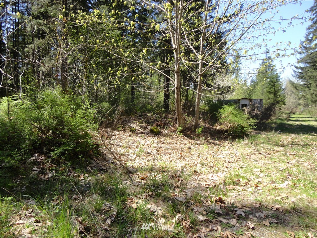 147-17 Morris Road Randle, WA 98377 - Photo 3 of 25 Gallery Image 3