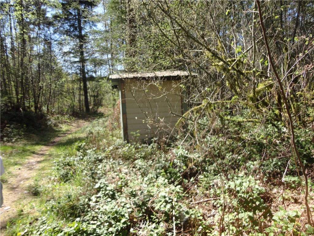 147-17 Morris Road Randle, WA 98377 - Photo 22 of 25 Gallery Image 22