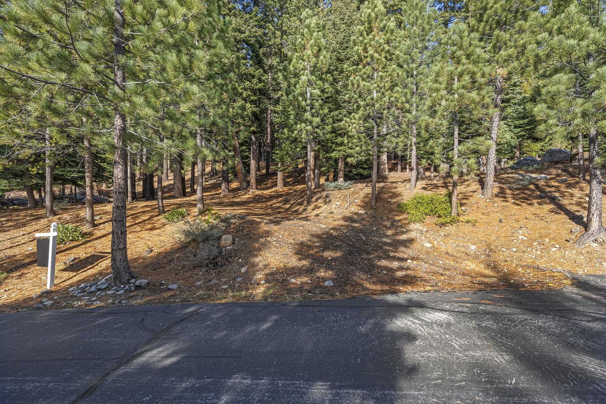 202 Hidden Lake Loop Olympic Valley, CA 96146 - Photo 2 of 28 a view of a yard with trees