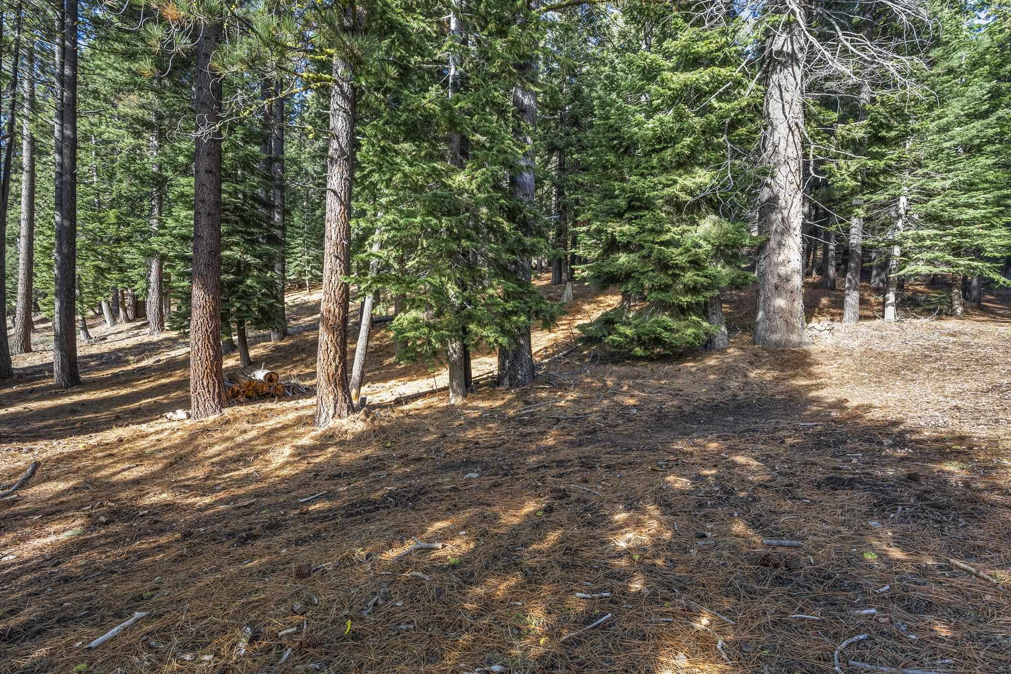 202 Hidden Lake Loop Olympic Valley, CA 96146 - Photo 5 of 28 a view of a yard with plants and trees