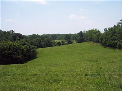 1874 Two Lick Road Cynthiana, KY 41031 - Photo 11 of 11 Photo 11