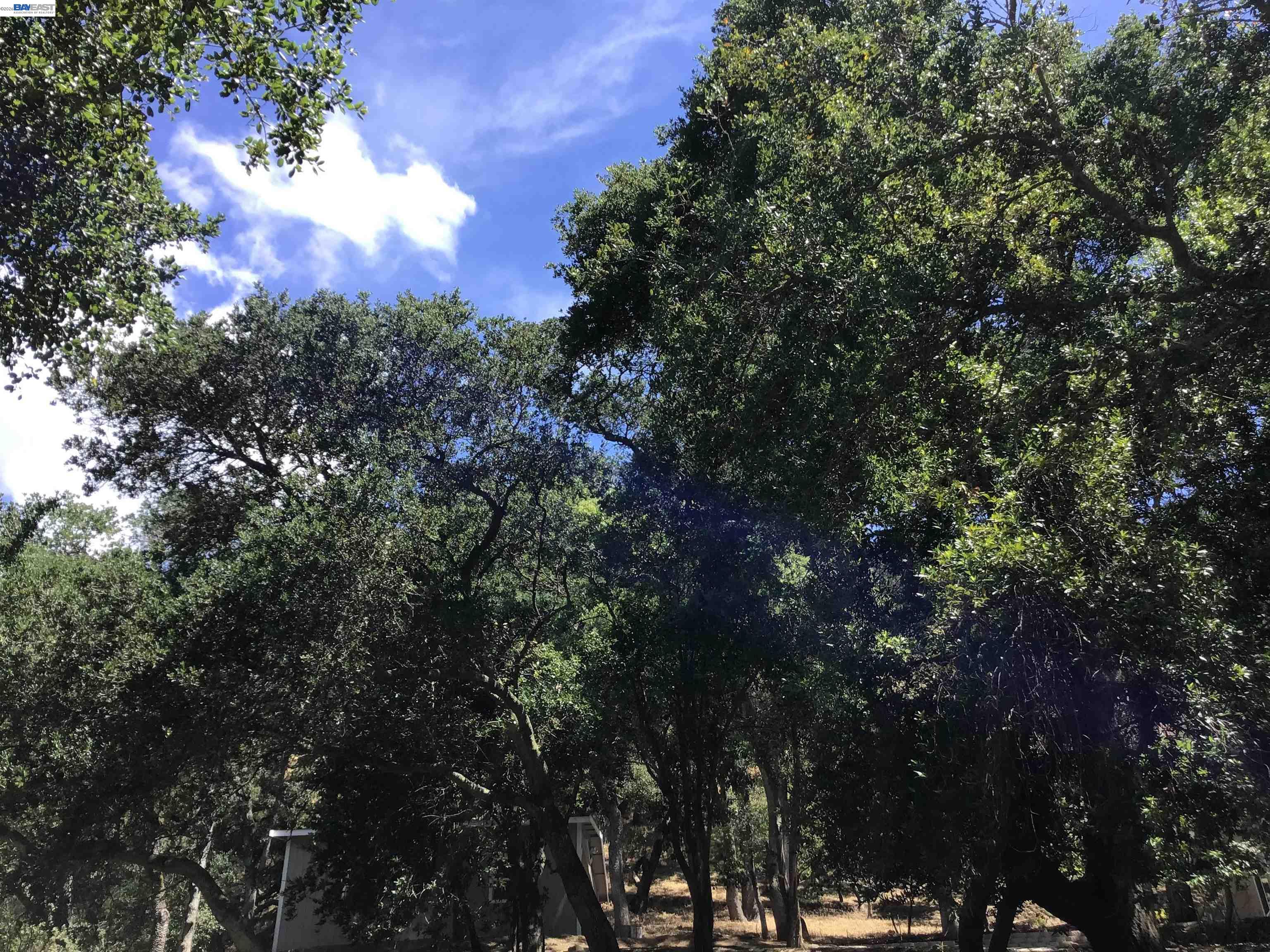 1929 Kilkare Road Sunol, CA 94586 - Photo 28 of 35
