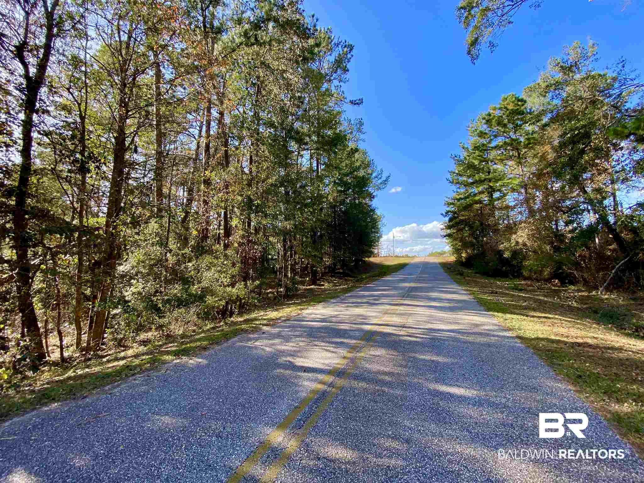 0 County Road 19 Chatom, AL 36518 - Photo 17 of 18