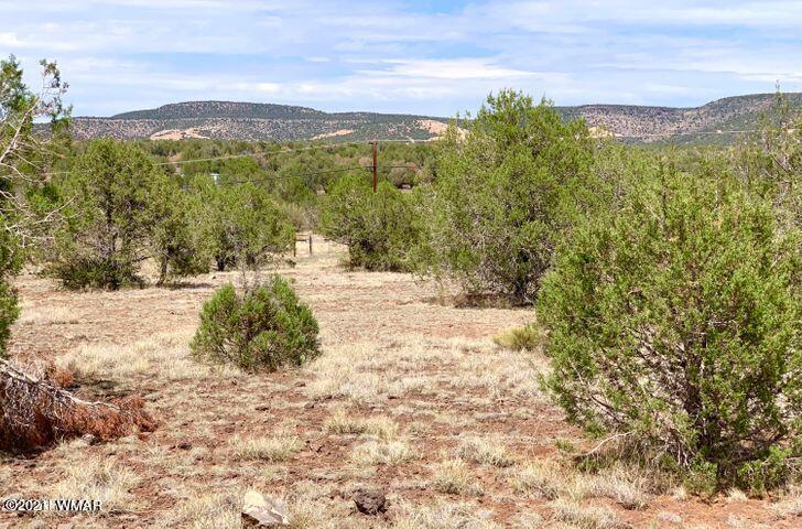 3961 North Double A Rnch Road Williams, AZ 86046 - Photo 11 of 11