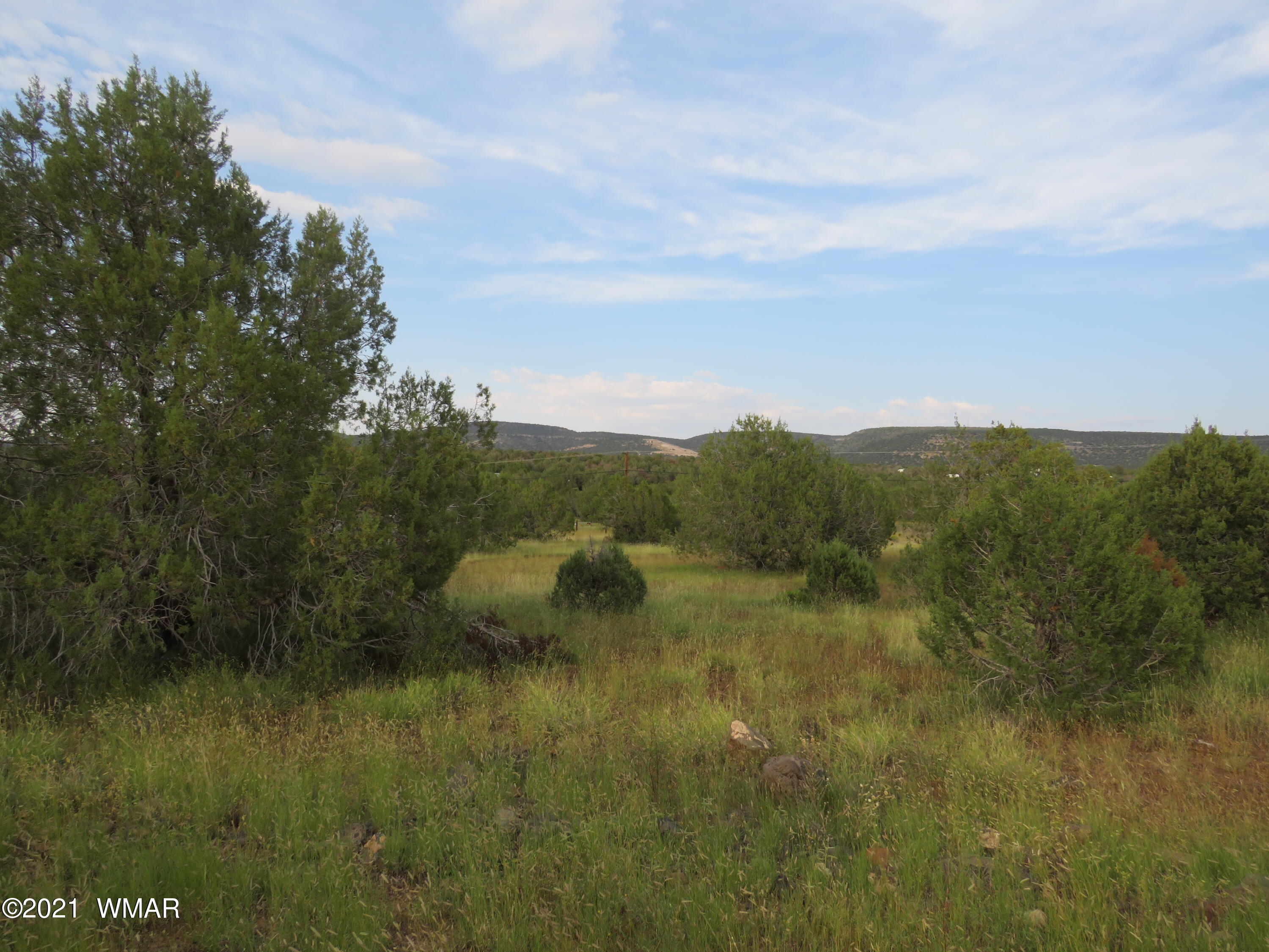 3961 North Double A Rnch Road Williams, AZ 86046 - Photo 6 of 11