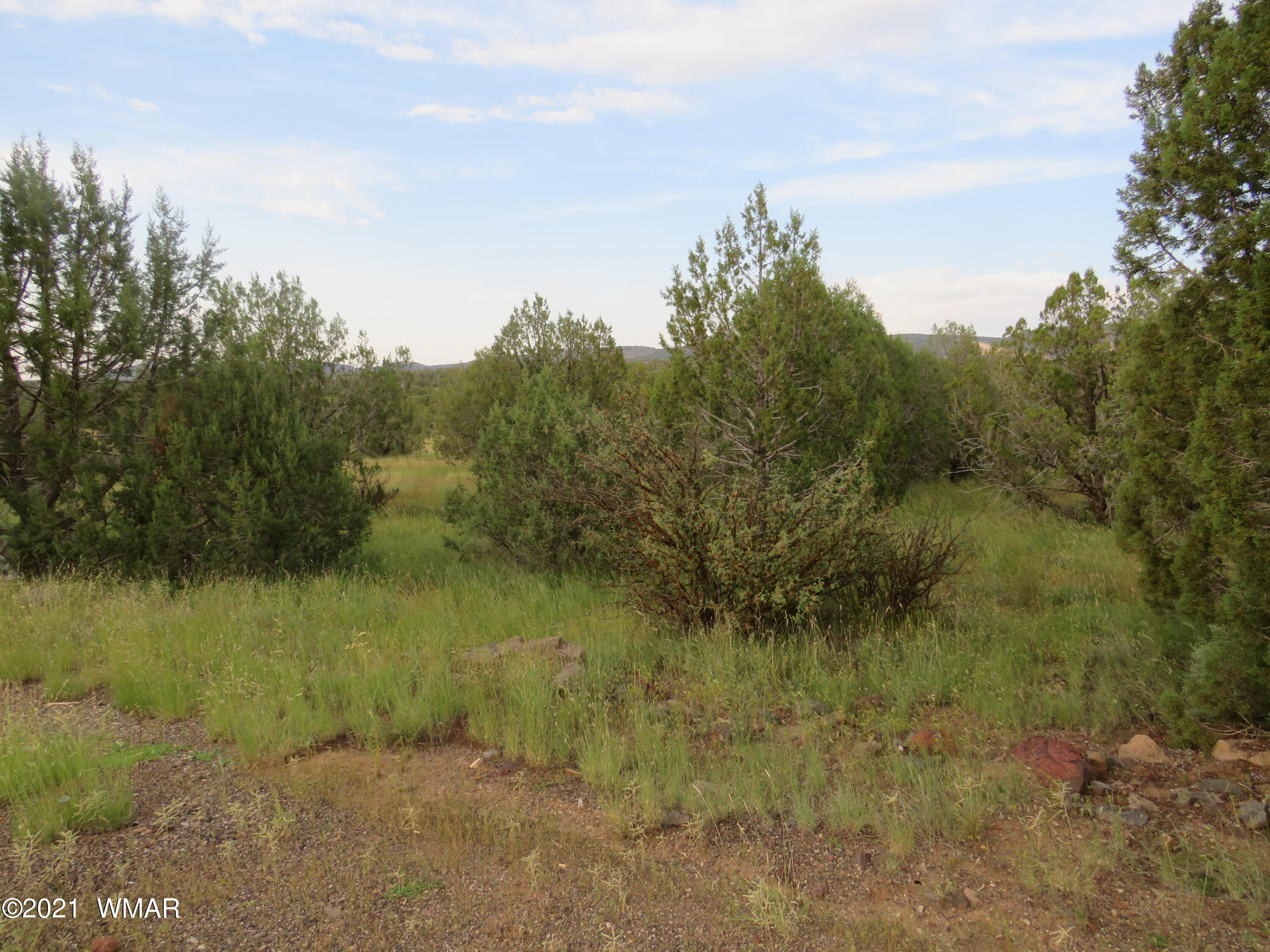 3961 North Double A Rnch Road Williams, AZ 86046 - Photo 7 of 11