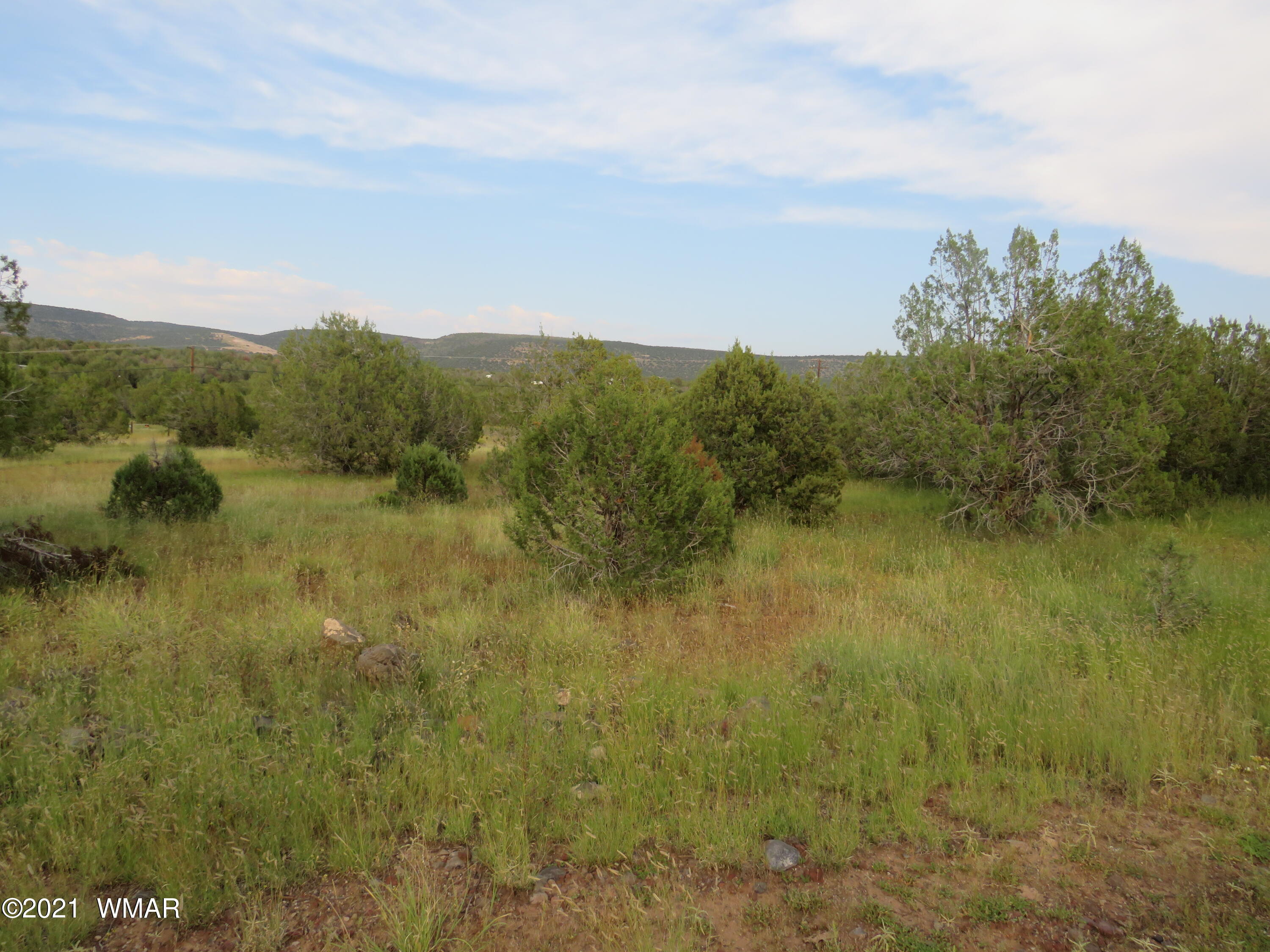 3961 North Double A Rnch Road Williams, AZ 86046 - Photo 8 of 11