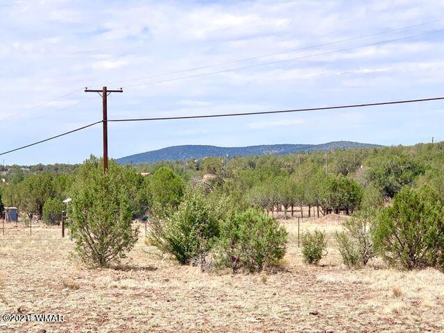3961 North Double A Rnch Road Williams, AZ 86046 - Photo 9 of 11