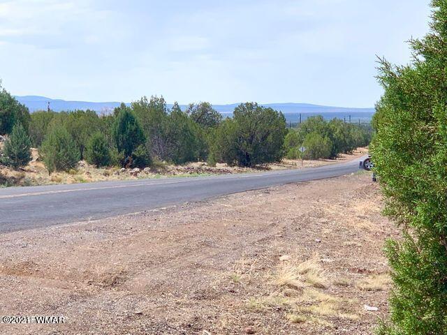 3961 North Double A Rnch Road Williams, AZ 86046 - Photo 10 of 11