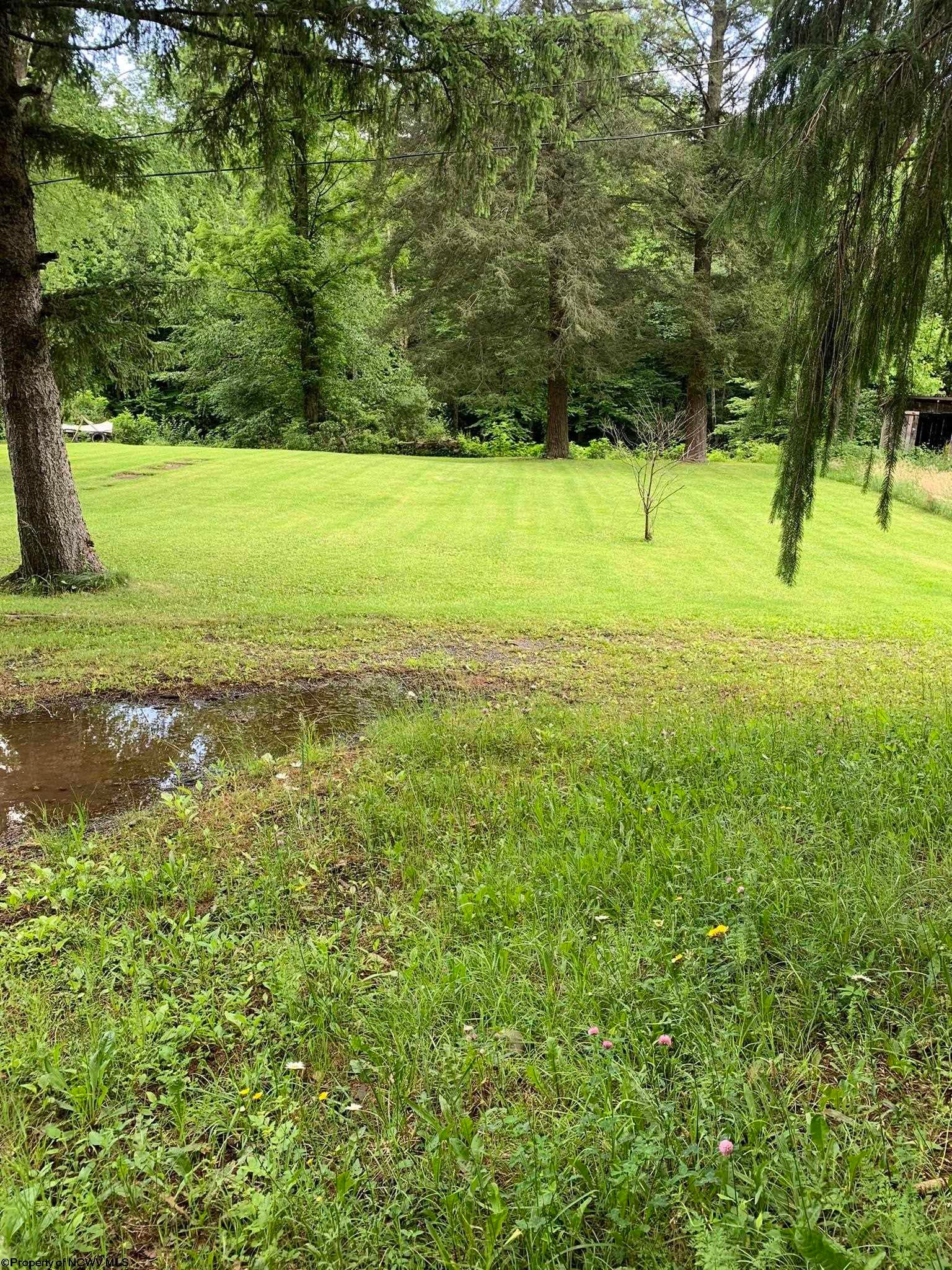 58 Pinewood Loop Webster Springs, WV 26288 - Photo 3 of 6 Gallery Image 3