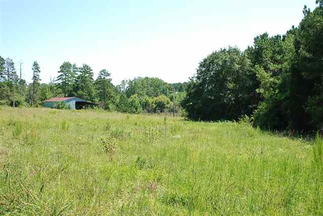 199 Holliday Road Six Mile, SC 29682 - Photo 23 of 25 Gallery Image 23