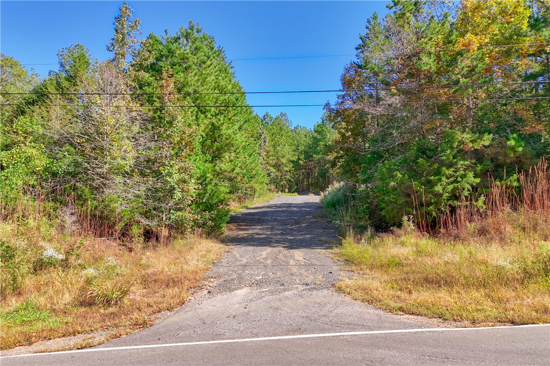 1348 State Rd S-4-97 Anderson, SC 29621 - Photo 4 of 23 Access drive to the property