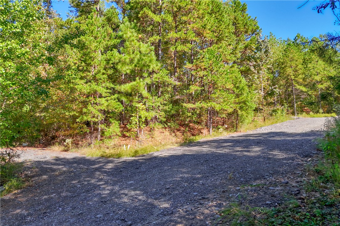 1348 State Rd S-4-97 Anderson, SC 29621 - Photo 5 of 23