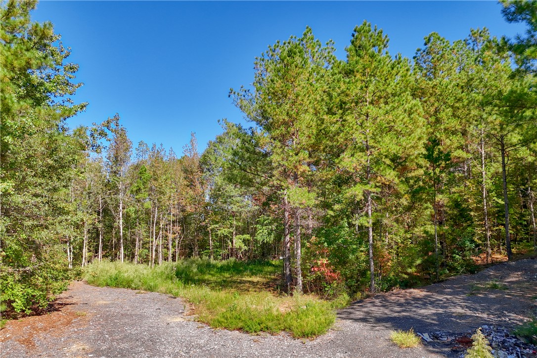 1348 State Rd S-4-97 Anderson, SC 29621 - Photo 7 of 23