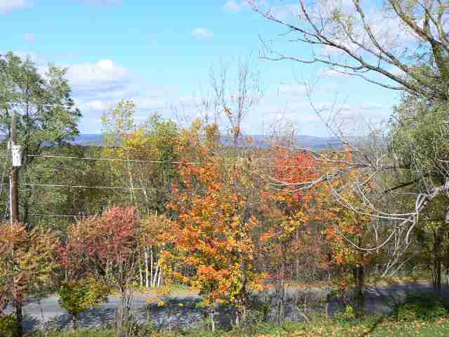 118 B Moore Road Durham, NY 12418 - Photo 9 of 12 Photo 9