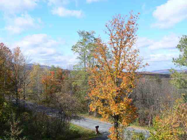 118 B Moore Road Durham, NY 12418 - Photo 10 of 12 Photo 10